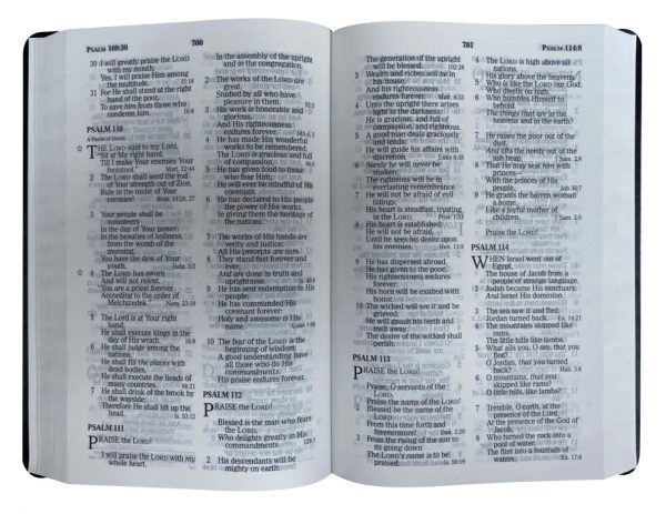 THE HOLY BIBLE : NEW KING JAMES VERSION - Image 4