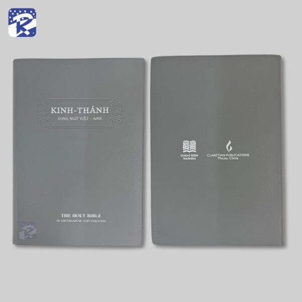 Vietnam And English Bible - Image 2