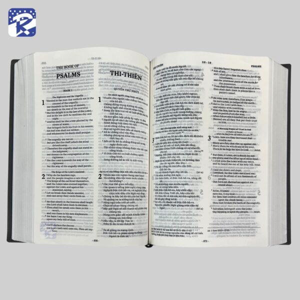 Vietnam And English Bible - Image 5